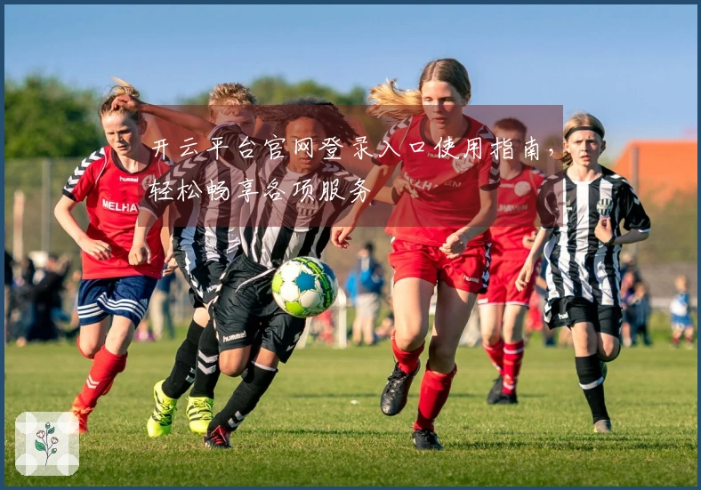 开云平台官网登录入口使用指南,轻松畅享各项服务