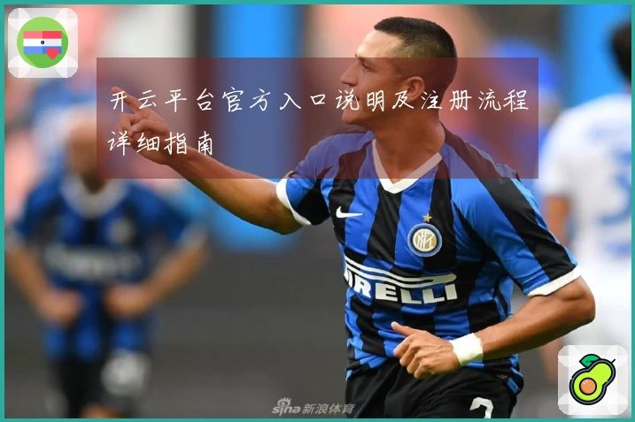 开云平台官方入口说明及注册流程详细指南