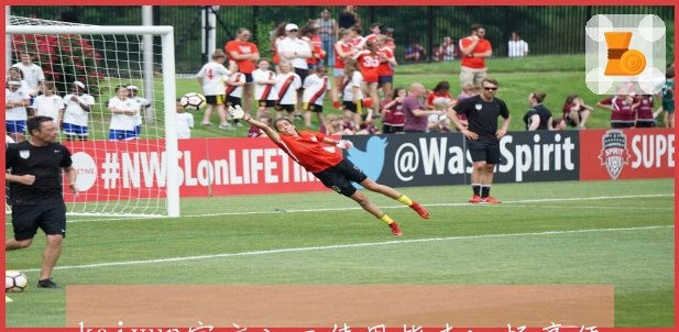 kaiyun官方入口使用指南：畅享便捷服务和全面功能体验